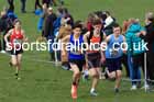 Boys Under-15s, 2024 CAU Inter Counties Cross Country Champs., Wollaton Park, Nottingham. Photo: David T. Hewitson/Sports for All Pics